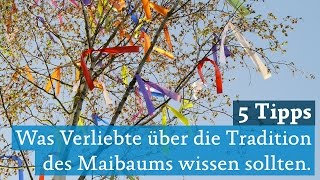 Köln: Maibaum aufstellen: Tipps zum Schmücken, Standort und Maibaumtaxis