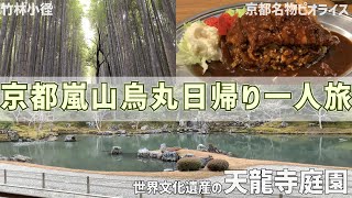 京都嵐山日帰り旅👣竹林小径からの世界文化遺産の天龍寺庭園！アンモモンプーソアのケーキ食べ放題🍰京都名物ピネライス🍚