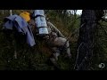 Lost in the Wilderness