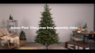 Everlands | How to assemble the Alison Pine artificial tree