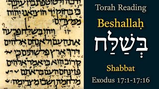 Beshallach - Day 7 | Torah Portion | 08-Feb-2025 | Exodus 17:1-17:16