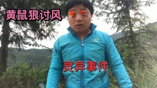 打的不是老鼠，是黄鼠狼，附身在蛋蛋身上讨风！#灵异故事  #悬疑