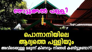 #Ziyarat #സിയാറത്ത് #Alziyarah തോട്ടുങ്ങൽ പള്ളി_പൊന്നാനിയിലെ ആദ്യത്തെ പള്ളി_Thottungal Masjid_V#49