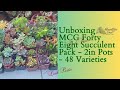 Unboxing New Arrival Succulents from Mountain Crest Gardens || #mylittlejungle #succulentslover