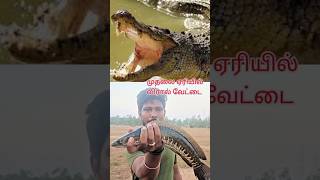 முதலை ஏரியா ❗❗🐊‼️😱😱🤯 #shorts #crocodile #lake #fishing #trending #snakeheadfishing #vairal