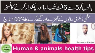 Balon Ko Lamba Karny Ka Asan Tarika | Balon Ko Girne Sy Rokna | How To Grow Your Hair | Hair Oil