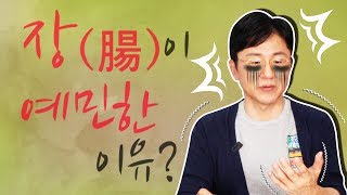 장(腸)이 예민한 이유는? 과민성대장증후군에 대하여 알아보자!  - 서재걸의 그림 병원 #29