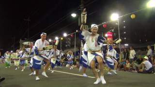 だいこん連 @南越谷阿波踊り(東口南通り演舞場) 2016-08-20