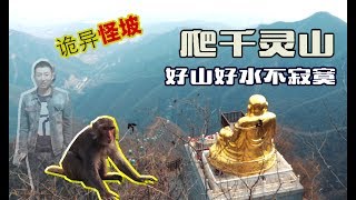 小叔vlog：爬千灵山，路遇猴子，亲历怪坡，聊G桑拿与才子东邪的一生