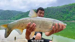 二毛荒野釣魚第55天，再中大草，齊聚分享火鍋魚