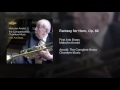 fantasy for horn op. 88