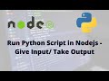 Run Python Script in Nodejs - Give Input/Take Output