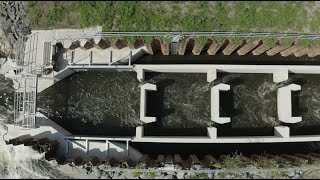 Lincomb Fish Pass: celebrating its completion with Stacey Corcoran