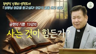 [정영식 신부의 영적 도서 공현의 기쁨 13강의] 사는 것이 힘든가? I 성령님 영감을 받고싶다! 영감의 글을 쓰고 싶다 I 영성생활/천주교/가톨릭/특강/영상제작 가톨릭스튜디오