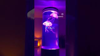 Jellyfish lamp || cr. to \