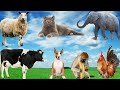 Collection of Cute Pets: Dog, Cow, Cat, Chicken, Pig, Elephant, Sheep, Dolphin - Animal Sounds