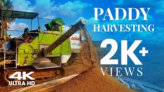 Paddy Harvesting in Kerala | Agriculture technology