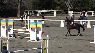 第58回　関東学生馬術女子競技大会　障害飛越競技　JO　2年　松尾　ゆずか　桜礼