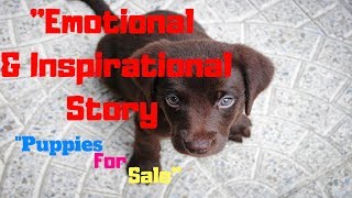 Dog motivational speech|puppies for sale story moral lesson|short motivational video|