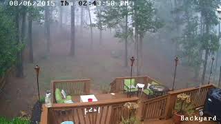 Trees Falling Compilation #2 No Music