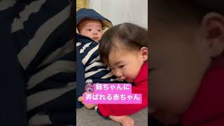 day98姉に弄ばれる弟が可愛い #赤ちゃん #可愛い #cutebaby