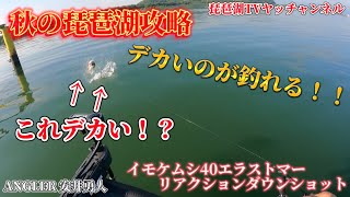 【バス釣り】50UP登場！今熱い！？秋の琵琶湖攻略！北湖でイモケムシ40エラストマーのリアクションダウンショットが炸裂！