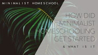 How "Minimalist Homeschooling" Got Started & What It Is