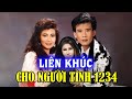 NHẠC LOSSLESS | LK CHO NGƯỜI TÌNH 1234 - SƠN TUYỀN, TUẤN VŨ, THIÊN TRANG | NHẠC HẢI NGOẠI HAY