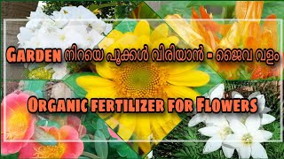 Organic Fertilizer for Flowers | ഗാർഡൻ നിറയെ പൂക്കൾ വിരിയാൻ - ജൈവ വളം