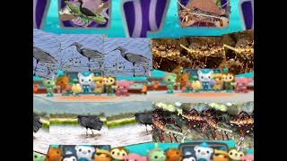 Octonauts season 6 episode 8 black herons | long legged spiny lobsters