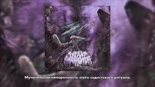 Infant Annihilator Baptised, Bastardised, Sodomised перевод