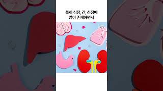 겨울 혈행관리 코엔자임큐텐 챙겨야 하는 이유 #shorts