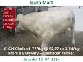 #ballamart Saturday 13-07-2024 a char bullock at 3.14/kg