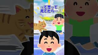 【2ch】小学生の男の子と猫がお互いに駆け寄ったら…【ほっこり】 #Shorts