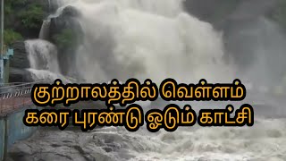 Kutralam falls today | courtallam | Kutralam season | குற்றாலம் இன்று