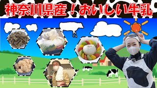 カナフルTV　11月27日　かながわ県産100%！おいしい牛乳をモ～１杯