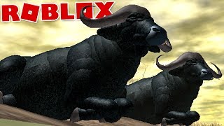 Wild Savannah Roblox Hyena Clan Part 1 Of 2 Videos Books - wild savannah roblox