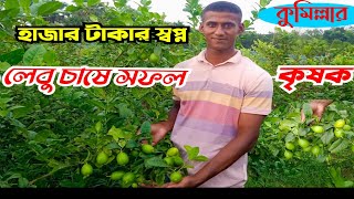 চায়না-৩ সীডলেস বা  বীজবিহিন ১২ মাসি লেবু চাষ।  হাজার টাকার স্বপ্ন! লেবু চাষে সফল?