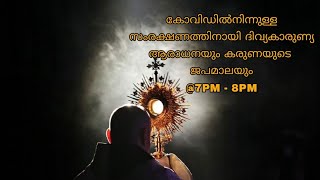 🔴കോവിഡിൽനിന്നുള്ള സംരക്ഷണത്തിനായി ദിവ്യകാരുണ്യ ആരാധനയും ജപമാലയും@7PM - 8PM/31-05-2021