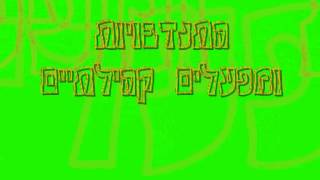 הפעילות של שבט יואב