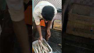 மிகப்பெரிய | வெள்ளை கிழங்கான் மீன்கள் | #Vairal #fish |