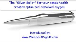 POND DISSOLVED OXYGEN LEVELS SOLVED - The Silver Bullet