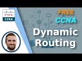 Free CCNA | Dynamic Routing | Day 24 | CCNA 200-301 Complete Course