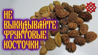 Кістки фруктів і ягід замінять таблетки. Неймовірна користь кісток