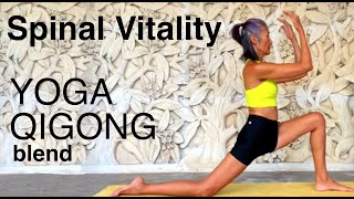 Waves of Qi (ENERGY) for Vitality | Yoga Qigong Blend 1 hour practice