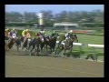 1995 Fountain Of Youth Stakes - Thunder Gulch