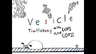 Vesicle trafficking and COPI/COPII