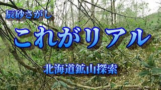 北海道鉱山探索のこれがリアル・・・水銀鉱石辰砂をさがす