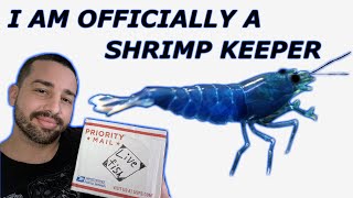 SHRIMP UNBOXING - BLUE DREAM NEOCARIDINA