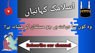 Islamic stories in urdu dahrakt ka mashba | Quran stories in urdu #quran #quranstories